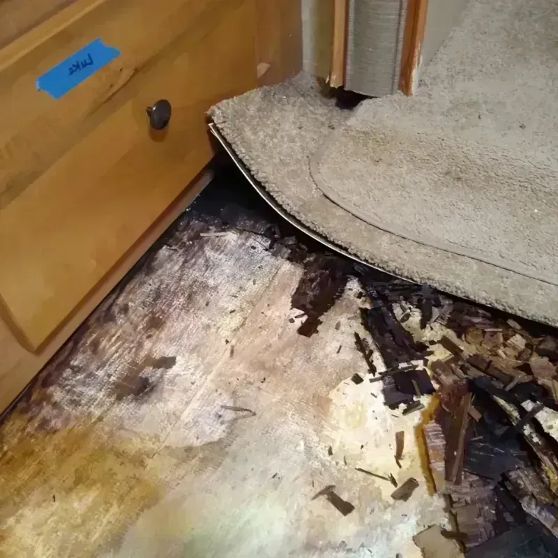 Wood Floor Water Damage in Puyallup, WA